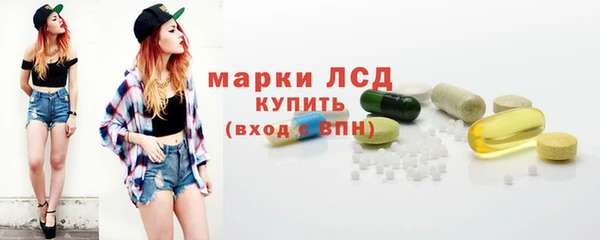 ПСИЛОЦИБИНОВЫЕ ГРИБЫ Абаза