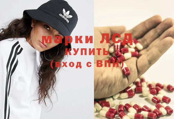 дурь Алзамай